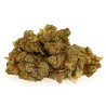 PLUTONIUM