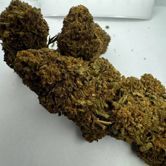 Jamaïcan pearl CBD 20% - CBG 10%