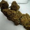 Jamaïcan pearl CBD 20% - CBG 10%