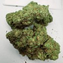 Harmony CBD 20% - CBG 10%
