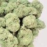 Cali dream - CBD 20% - CBG 10%