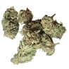 AK-47