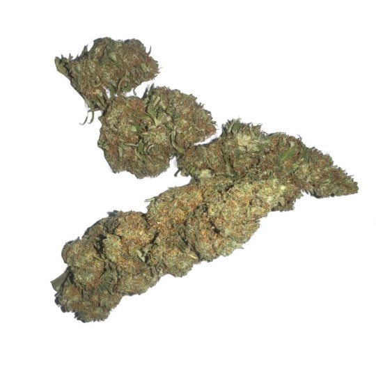 SPECIAL KUSH