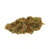 PLUTONIUM