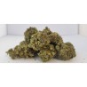STRAWBERRY HAZE