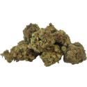 STRAWBERRY HAZE