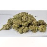 V1 CBD