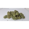 CANNATONIC