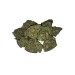 MANGO KUSH