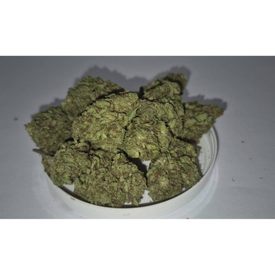 MANGO KUSH
